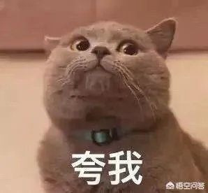 为什么中国是龙图腾不是凤图腾？