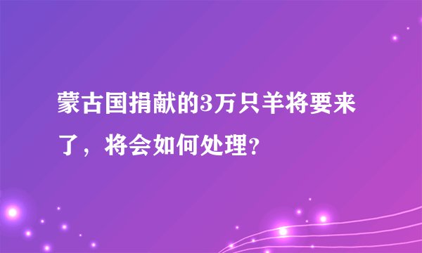 蒙古国捐献的3万只羊将要来了，将会如何处理？