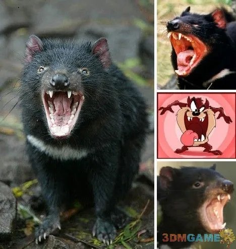 巨丑无比吓倒众人！世界上最丑陋的13种动物