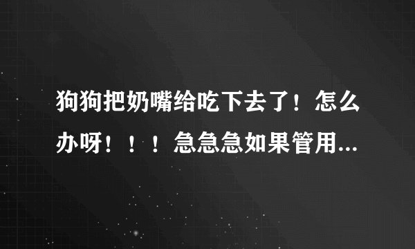 狗狗把奶嘴给吃下去了！怎么办呀！！！急急急如果管用还给加分！！！在线等