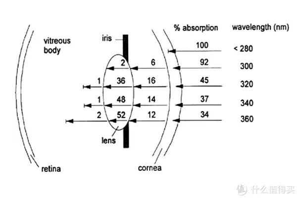 护眼显示器哪个牌子好