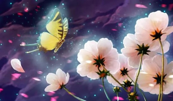 蝴蝶辨别食物味道是用哪个身体部位 蝴蝶是通过什么来辨别食物味道的