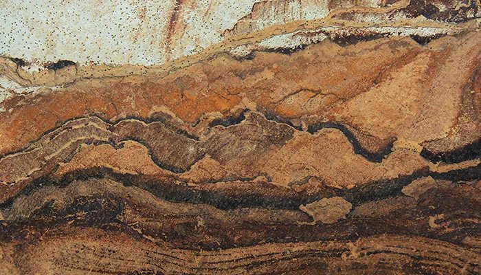 化石的形成过程 化石的形成过程是怎样的