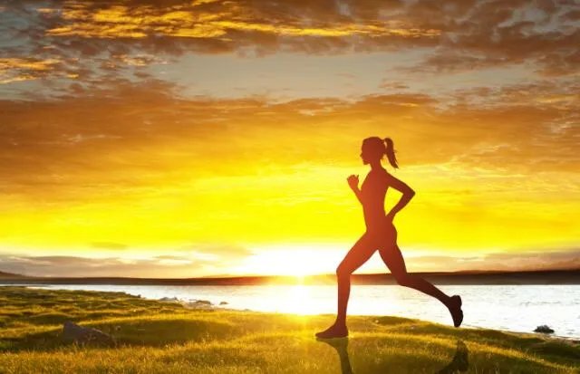 千里之堤毁于蚁穴体现了什么安全思想 千里之堤毁于蚁穴是什么意思