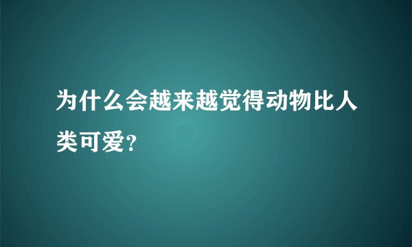 为什么会越来越觉得动物比人类可爱？