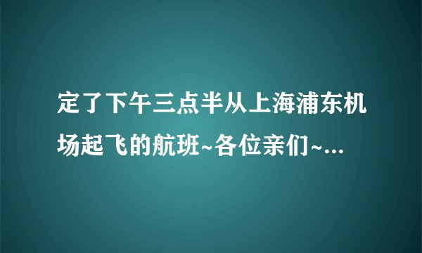 定了下午三点半从上海浦东机场起飞的航班~各位亲们~如何从扬州到上海~
