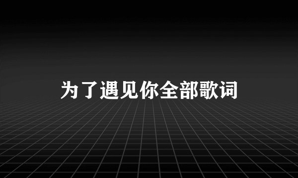 为了遇见你全部歌词