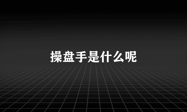 操盘手是什么呢