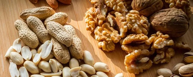 坚果包括哪些