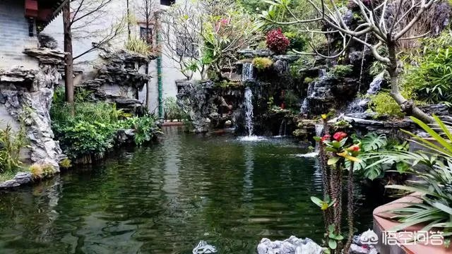 广东顺德清晖园好玩吗？