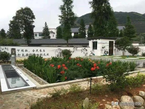 央视网评娱乐歪风