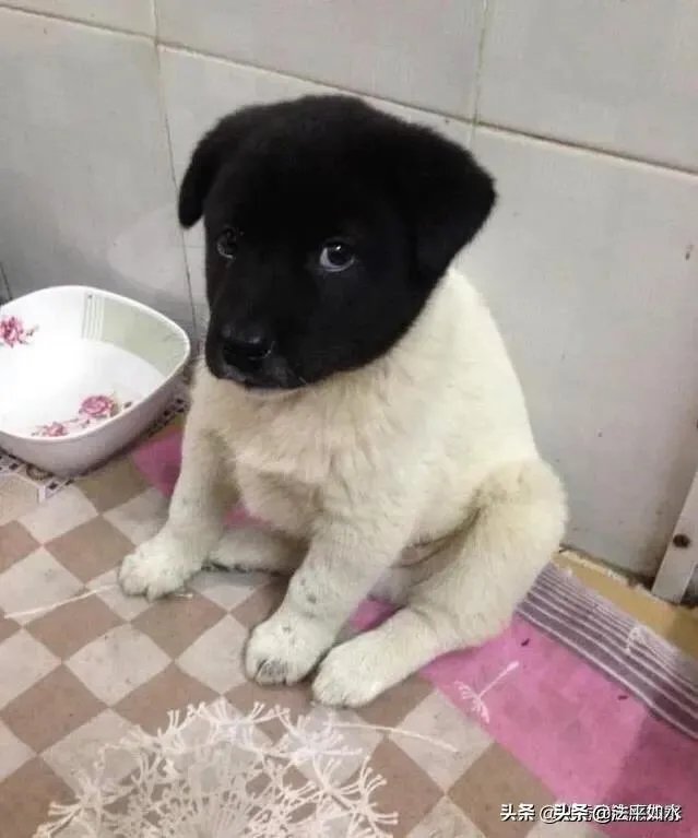 中国宣布2020年首探火星，你觉得火星有必要探索吗？