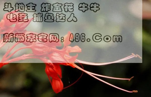 请问一副麻将牌一共有多少张牌？