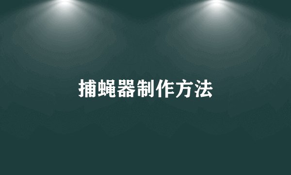 捕蝇器制作方法