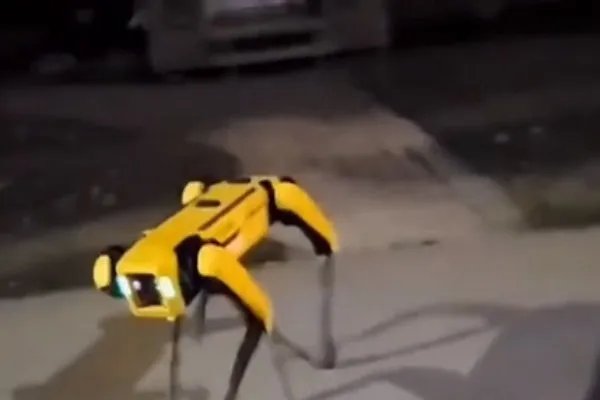 机器狗夜晚独自在街头游荡，现场看到的人是何反应？