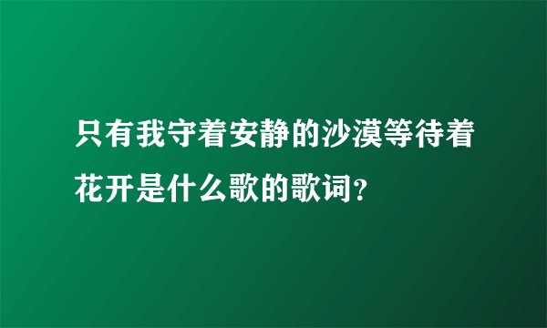 只有我守着安静的沙漠等待着花开是什么歌的歌词？