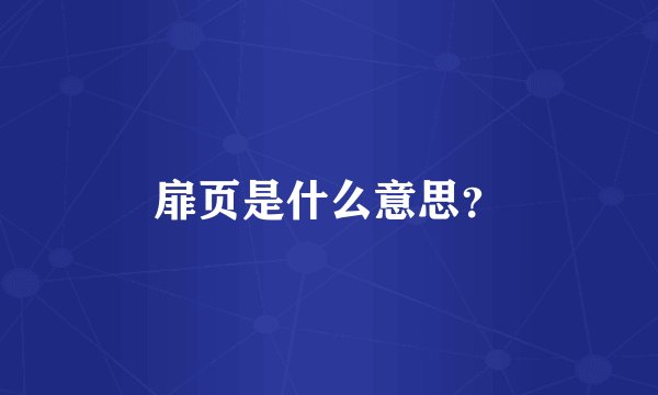 扉页是什么意思？