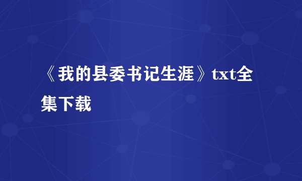 《我的县委书记生涯》txt全集下载