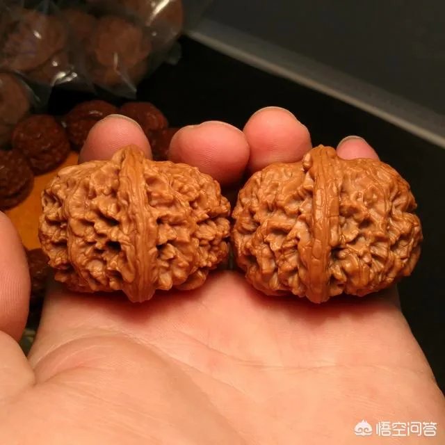 南疆石狮子头为什么那么贵，还那么受欢迎？