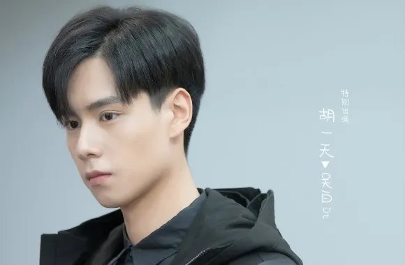 胡一天演过的电视剧