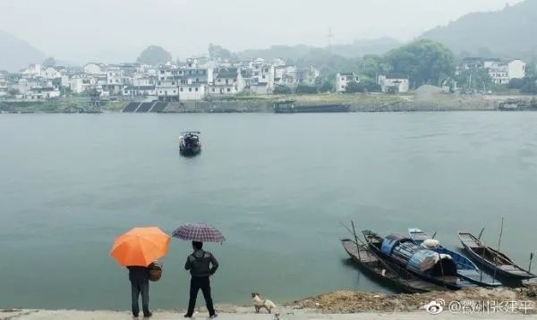 枇杷之乡在哪里？