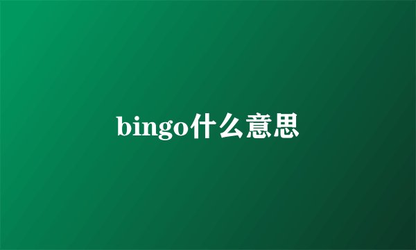 bingo什么意思