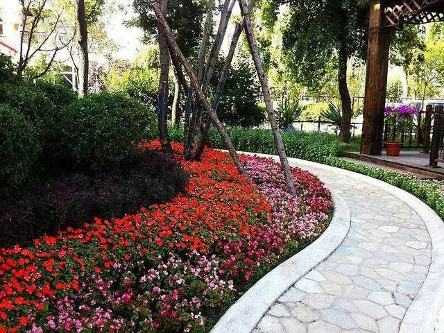 碧桂园物业怎么样