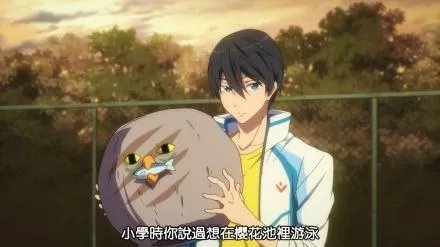 遥凛的代表花是什么