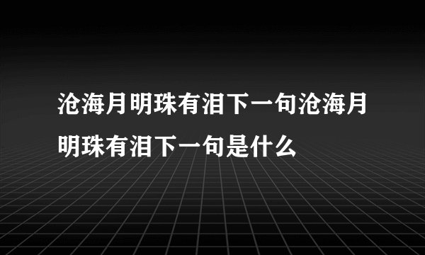 沧海月明珠有泪下一句沧海月明珠有泪下一句是什么
