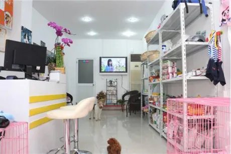 开宠物店挣钱吗。