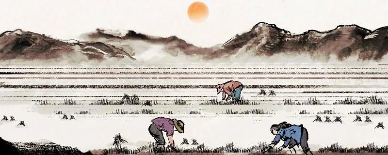 四时田园杂兴其31的诗意是什么