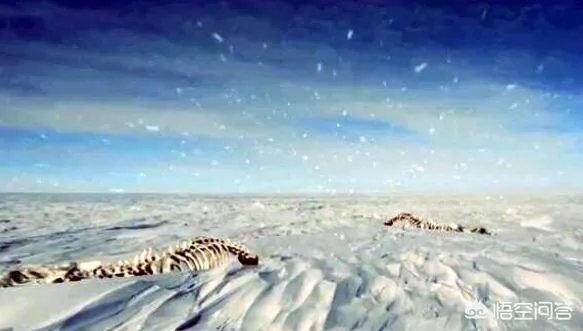 美国黄石火山会不会爆发?如果爆发了,会发生什么?