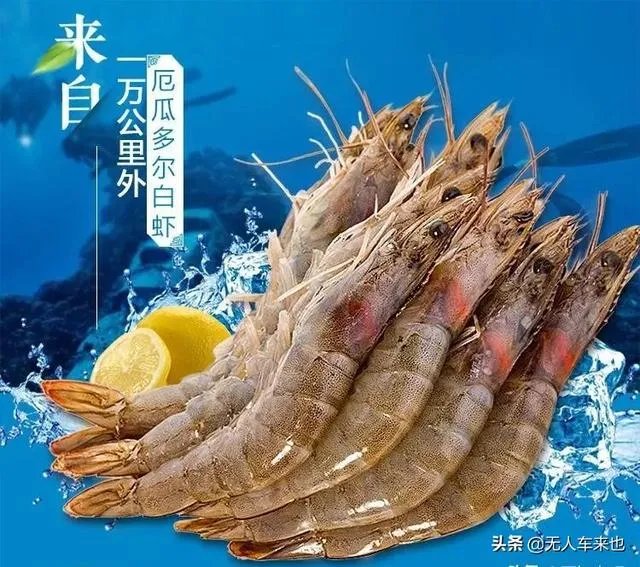 福建进入战时状态，关键词是海鲜，你怎么看？