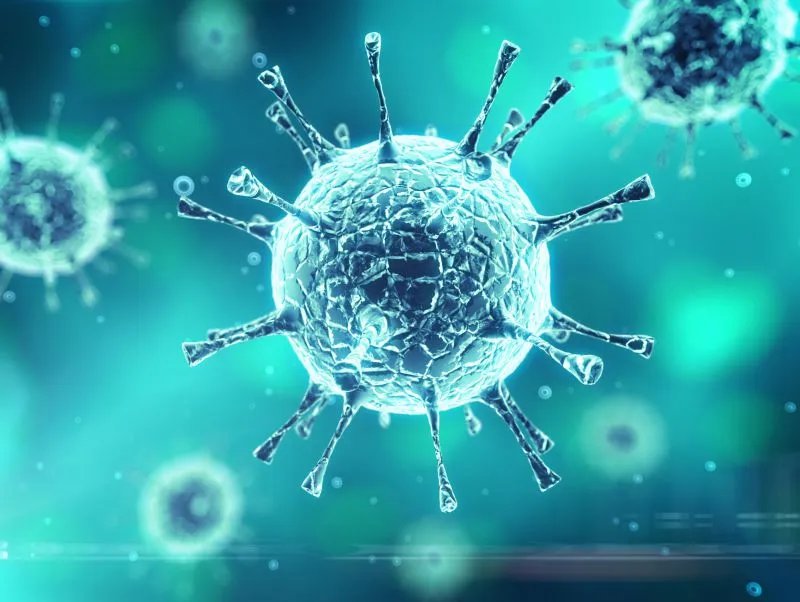 艾博拉病毒是什么