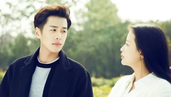 十五年等待候鸟电视剧百度百科