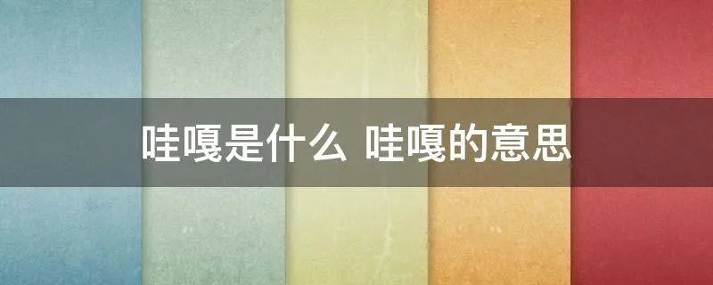 哇嘎是什么 哇嘎的意思