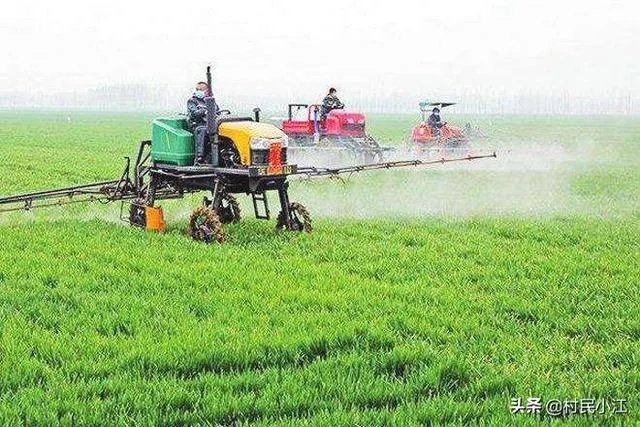 小麦除草剂现在适合打吗？