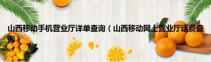 山西移动手机营业厅详单查询（山西移动网上营业厅话费查询）