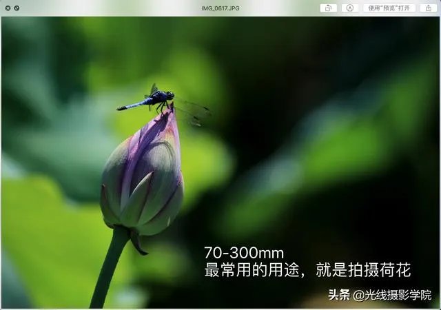 70-300镜头适合拍什么？