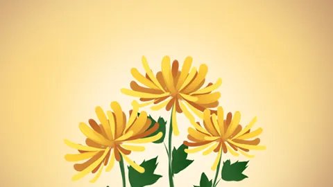 茉莉花茶的副作用