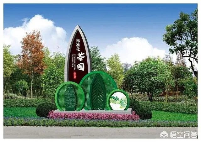 央视网评娱乐歪风