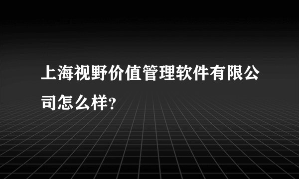 上海视野价值管理软件有限公司怎么样？