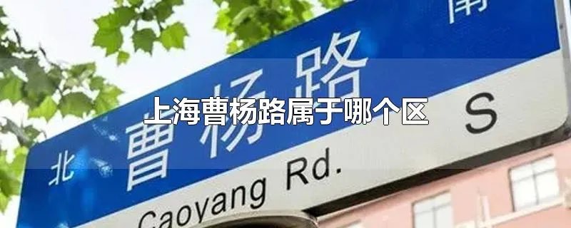 上海曹杨路属于哪个区