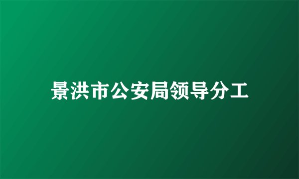 景洪市公安局领导分工