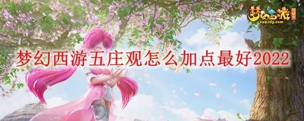 梦幻西游五庄观怎么加点最好2022