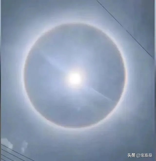 日环食有哪些恶搞图片？