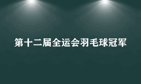 第十二届全运会羽毛球冠军