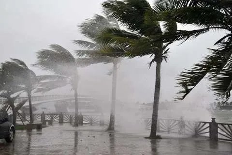 德国遭遇飓风袭击，飓风与台风的区别有哪些？