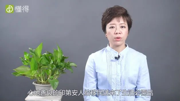 感恩节是几月几号