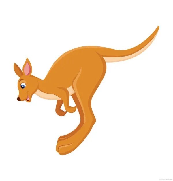 袋鼠的尾巴有什么作用？